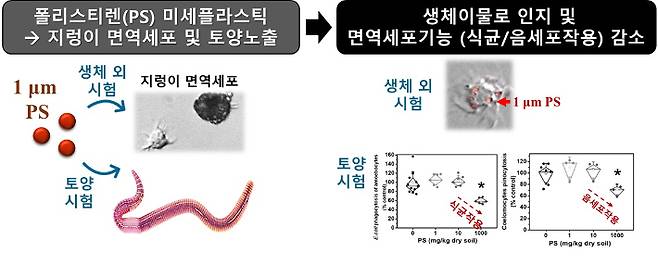 한국연구재단 제공