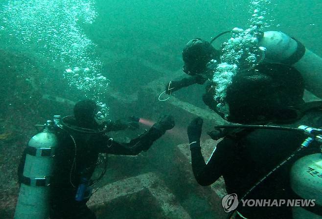 명지대 스킨스쿠버 동아리·PADI, 해양 정화 봉사활동  [연합뉴스 자료사진]