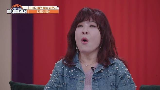 사진제공=MBN, MBC드라마넷 '살아보고서'