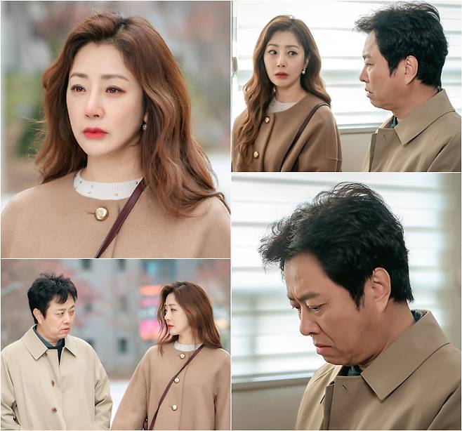 사진 제공 : 스튜디오 플럼