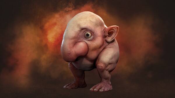 - 애완동물 '코돌이'