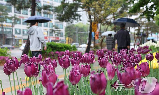 봄비가 내린 22일 시민들이 우산을 쓰고 지나가고 있다. 2025.4.22/뉴스1 ⓒ News1 김영운 기자