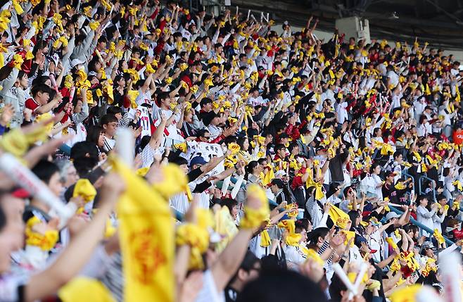 잠실야구장에서 찾은 LG 팬들이 응원전을 펼치고 있다. 연합뉴스