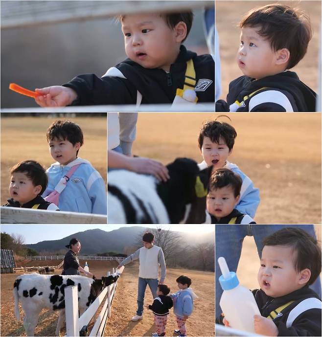 슈퍼맨이 돌아왔다, 꼬마 사육사 (사진: KBS '슈돌')