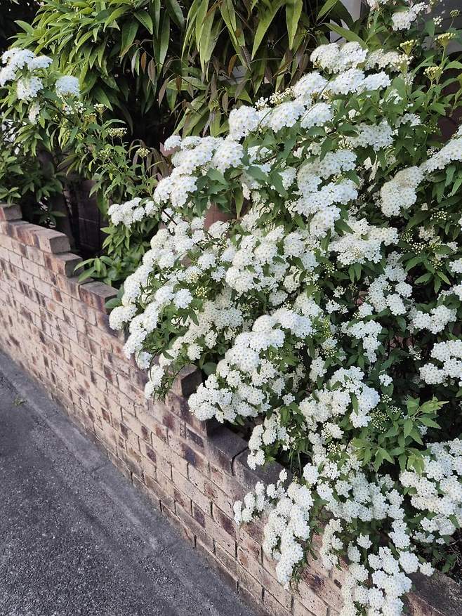 7fed8273b58669fe51ee8ee445807173df7e6aa56247b74ee5619d05809024ea