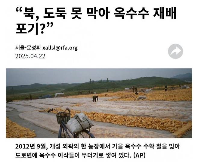 1000218437.jpg 북한이 도둑을 못막아 옥수수 재배 포기 ㅋㅋㅋㅋㅋㅋㅋ