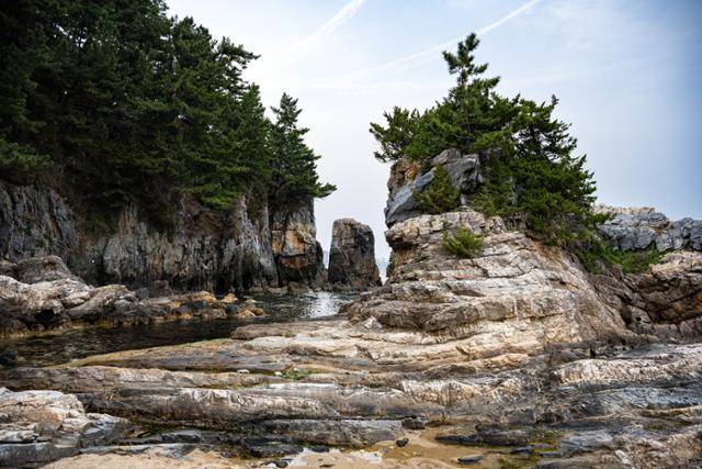강원 동해시 고불개해변의 갯바위(오른쪽)와 해식애 사이에 시스택이 우뚝 서 있다.