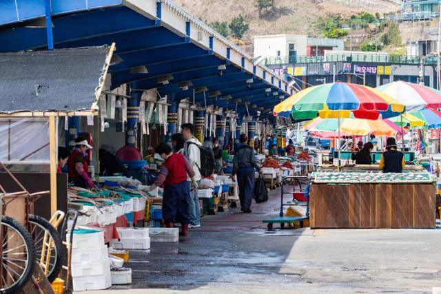 활어 매장 건너편 선어 매장의 모습. 갑각류와 어패류도 함께 취급한다.