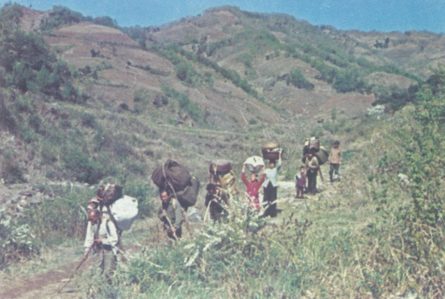 ▲ 지게를 지고 산에서 내려오는 화전민들. 1975년 춘성군 일원에서 찍은 사진이다.