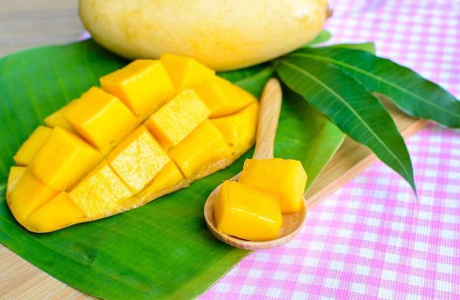 게티이미지뱅크