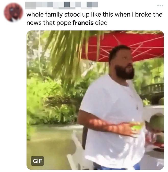 교황님이 사망하셨다고? [엑스 캡처. 재판매 및 DB 금지]