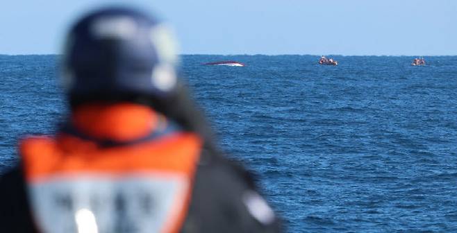 (사진=연합뉴스)