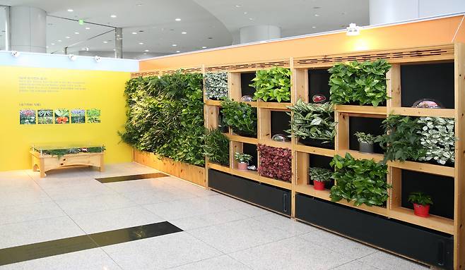 농촌진흥청은 2012년 연구 개발한 기술인 수직정원(바이오월) 페어를 연다고 밝혔다.(사진제공=농촌진흥청)