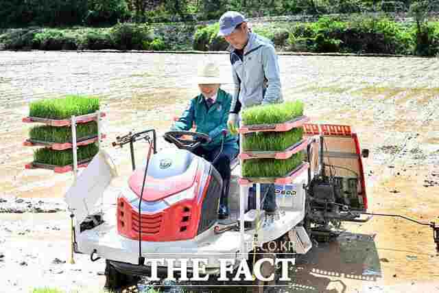 24일 우보면 두북리 이원교 씨 논에서 올해 첫 모내기가 시작됐다. 김진열 군위군수가 이원교 씨와 함께 이앙기에 올라가 직접 모내기 작업을 하고 있다. /군위군