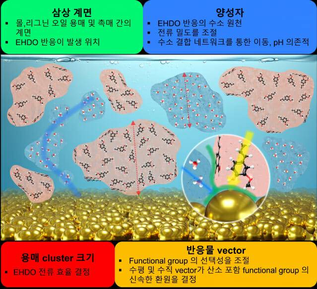 전해 시스템 내 각 물질의 배열 방식 모식도 및 분자 동력학과 관련된 결정 요인을 나타냈다. (그림=KIST)