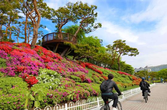 23일 오전 초여름 날씨를 보인 대전 유성구 카이스트 어은동산에서 산책에 나선 시민들이 화사하게 만개한 영산홍 옆을 지나가고 있다. 김영태 기자.