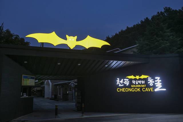 ▲ 동해시 ‘천곡황금박쥐동굴’ 전경.