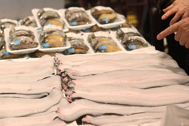 장어 사진. 기사 내용과 직접 연관 없음. [사진출처 = 연합뉴스]