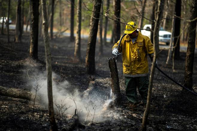 미국 뉴저지주에서 발생한 산불로 산림 수천 에이커가 타고 인근 주민 3000명 대피하는 소동이 발생했다. 사진은 지난 23일(현지시각) 미국 미국 뉴저지주 오션 카운티 지역 포크드 리버에서 발생한 산불 현장에 투입된 소방관이 진화 작업을 하는 모습. /사진=로이터