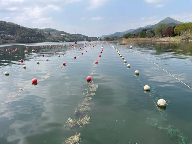남양주시가 화도읍 금남리 북한강 일대에 조성한 내수면 어류 인공산란장. 남양주시 제공