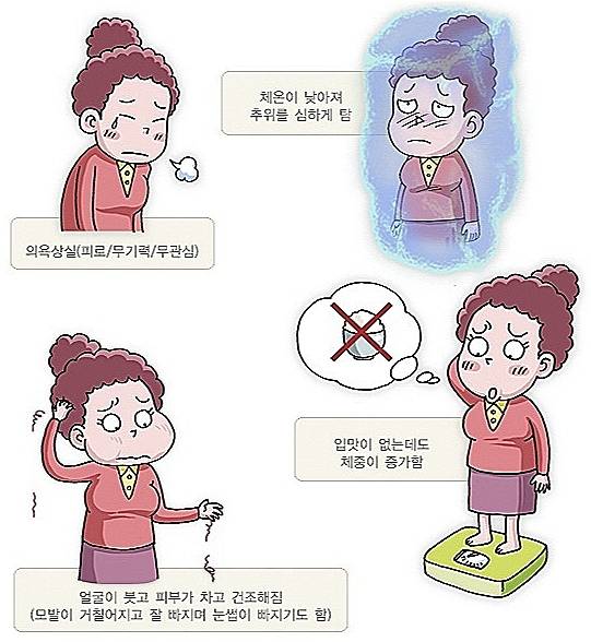 갑상선기능저하증 증상. 질병관리기능저하증 증상. 질병관리청