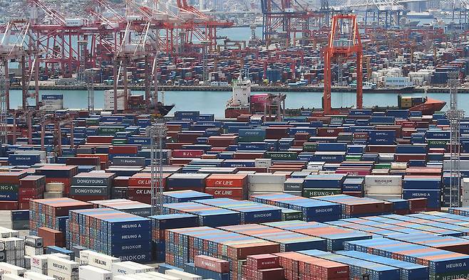 부산항 신선대부두와 감만부두 야적장에 컨테이너가 쌓여 있다. 뉴스1