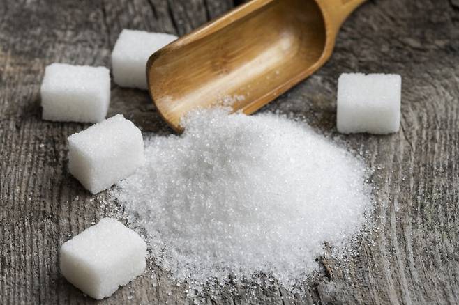 게티이미지뱅크