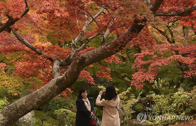 일본 교토 단풍 [EPA 연합뉴스 자료사진. 재판매 및 DB 금지]