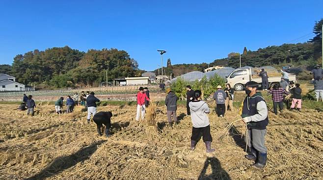 1958년 이찬갑이 창립한 풀무농업고등기술학교 2024년 가을걷이