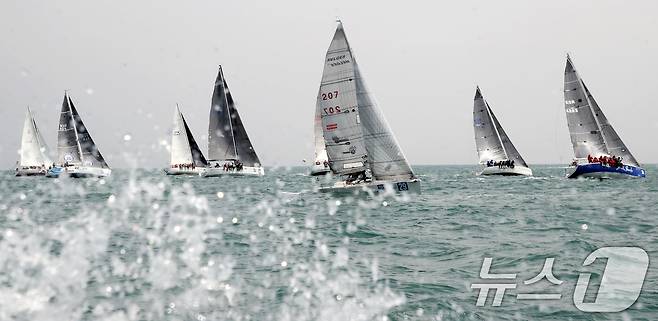 25일 부산 수영만 해상에서 열린 '2025 부산슈퍼컵 국제요트대회'에 참가한 요트들이 물살을 가르며 질주하고 있다.  2025.4.25/뉴스1 ⓒ News1 윤일지 기자