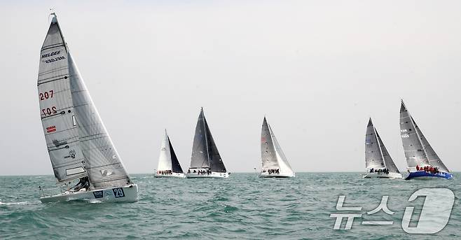 25일 부산 수영만 해상에서 열린 '2025 부산슈퍼컵 국제요트대회'에 참가한 요트들이 물살을 가르며 질주하고 있다.  2025.4.25/뉴스1 ⓒ News1 윤일지 기자
