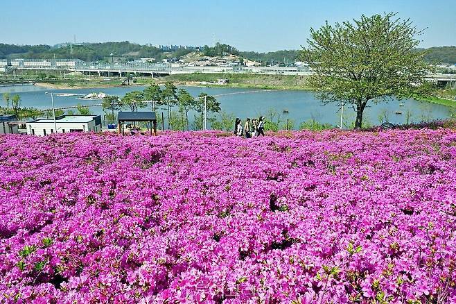시흥시 은계호수공원/사진-시흥시