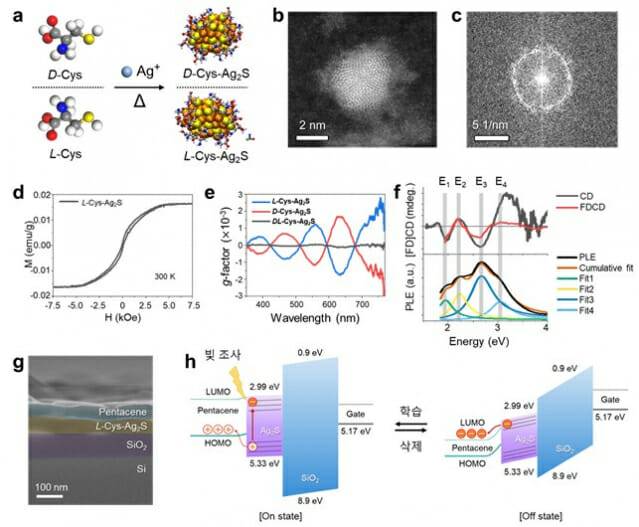KAIST 연구진이 무기나노입자에 카이랄 유기물을 합성하고 광전자 특성을 분석한 그림. 주사투과전자현미경 사진(b,c)과 전기적 삭제 동작 시연(h) 개요도 등을 나타냈다..