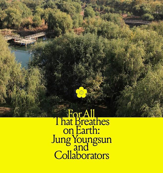 5월 9일부터 7월 13일까지 이탈리아 베네치아 산마르코 아트센터에서 열리는 정영선 조경가의 전시. 지난해 국립현대미술관 전시 ‘정영선: 이 땅에 숨 쉬는 모든 것을 위하여’의 해외 순회전이다. 국립현대미술관 제공