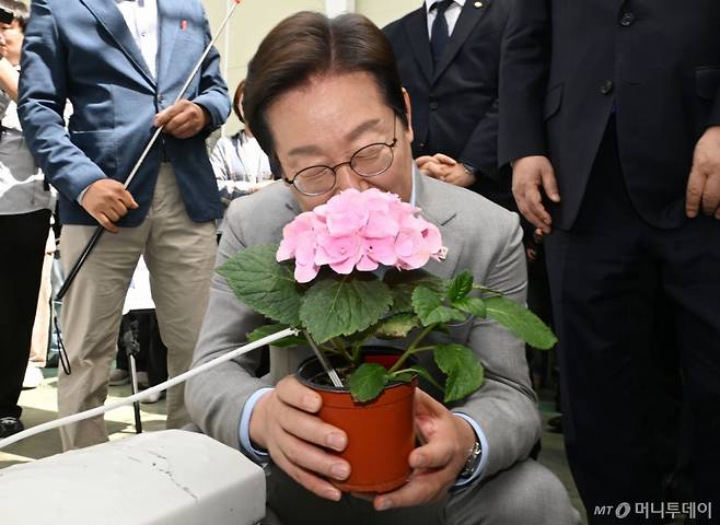 [나주=뉴시스] 이영주 기자 = 이재명 더불어민주당 대선 경선 후보가 25일 오전 전남 나주시 전남농업기술원에서 열린 '미래농업 전초기지 호남' 농업과학기술 진흥 간담회에 참여해 전남농기원이 개발한 수국 신품종의 향을 맡고 있다. 2025.04.25. leeyj2578@newsis.com /사진=