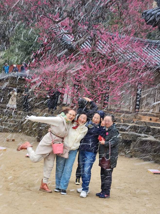 [서울=뉴시스] 대한불교조계종 19교구 지리산대화엄사 교구장 덕문스님은 25일 2025 제5회 화엄사 홍매화·들매화 사진 콘테스트의 응모작 심사 결과 수상작을 발표했다.이번 콘테스트는 '화엄! 홍매화의 향기를 머금고'라는 주제로 진행되었다. 사진 콘테스트 응모작은 총 1178점(전문작가 부문 493점, 휴대폰 카메라 부문 685점)이 접수되었다. 시상식은 오는 5월 5일 오전 10시다. 사진은 휴대폰카메라사진부문 포교국장스님상 수상작인 이정재 '우리도 소녀들 마음으로'. (사진=화엄사 제공) 2025.04.25. photo@newsis.com *재판매 및 DB 금지