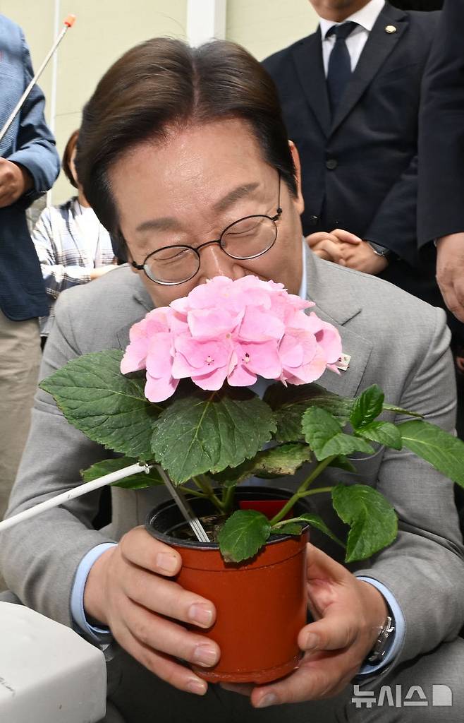[나주=뉴시스] 이영주 기자 = 이재명 더불어민주당 대선 경선 후보가 25일 오전 전남 나주시 전남농업기술원에서 열린 '미래농업 전초기지 호남' 농업과학기술 진흥 간담회에 참여해 전남농기원이 개발한 수국 신품종의 향을 맡고 있다. 2025.04.25. leeyj2578@newsis.com