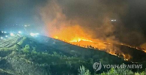 [강원특별자치도소방본부 제공]