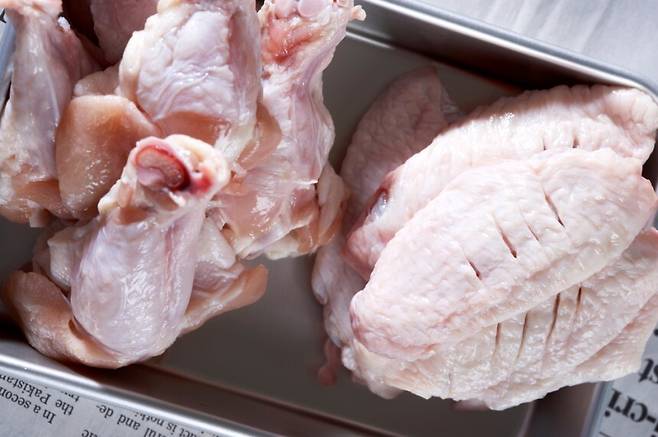 생닭. 클립아트코리아.