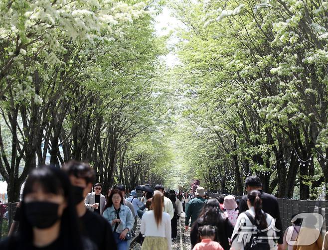 2025 전주 이팝나무 축제 개막날인 26일 전북자치도 전주시 팔복동 철길이 이팝나무 구경을 나선 시민들과 관광객들로 북적이고 있다. 2025.4.26/뉴스1 ⓒ News1 유경석 기자