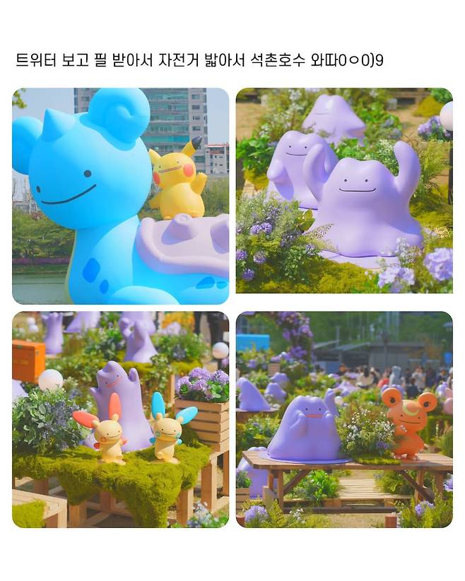 석촌호수 메타몽 근황