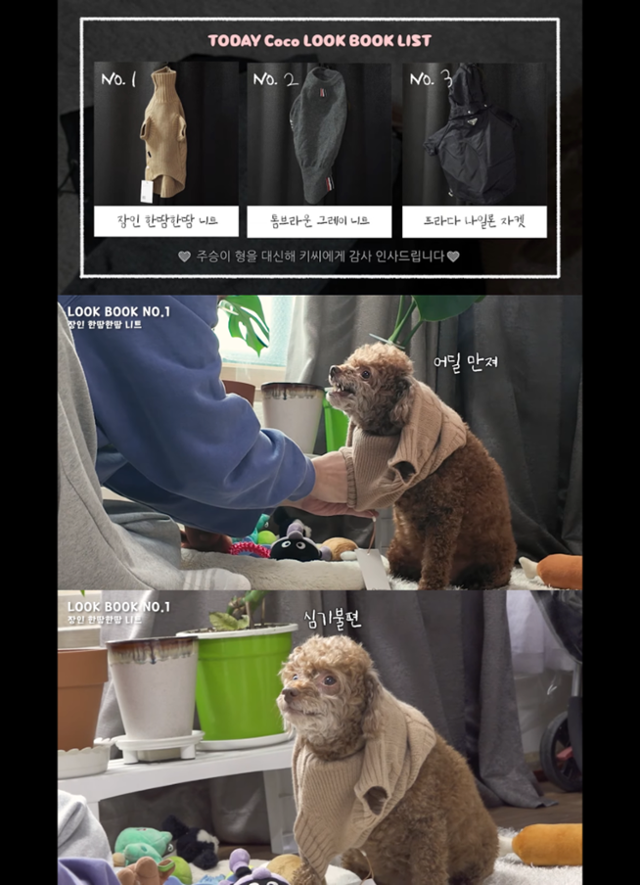 유튜브 뽑아쓰는휴지 캡처