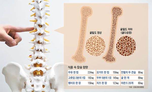 사진=신지호 기자