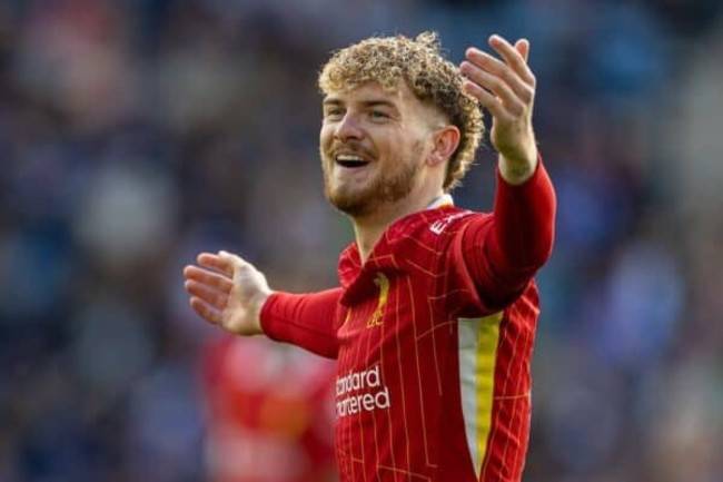 사진=디스이스안필드