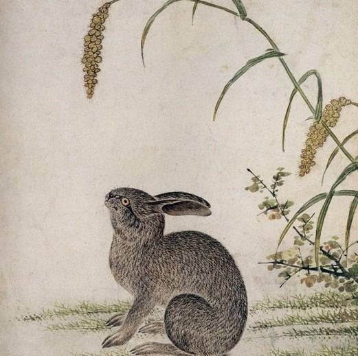 토끼. 털의 촘촘한 질감을 사실적으로 그린 작품이다.