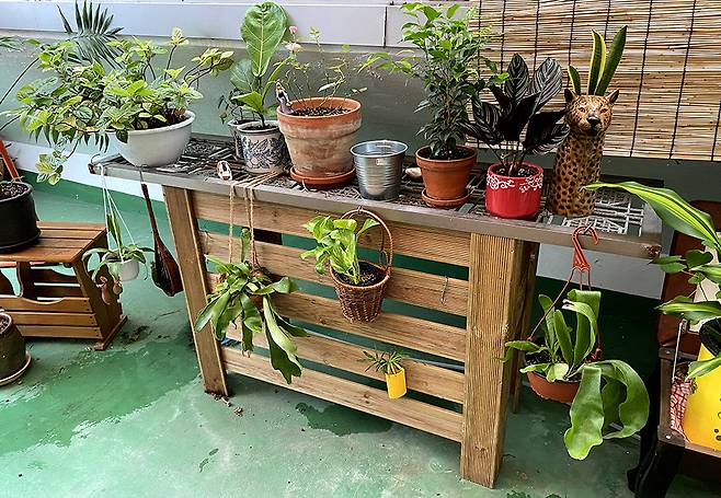 떼어낸 창문 방범 펜스가 그럴듯한 식물 선반으로 다시 태어났다.  필자 제공