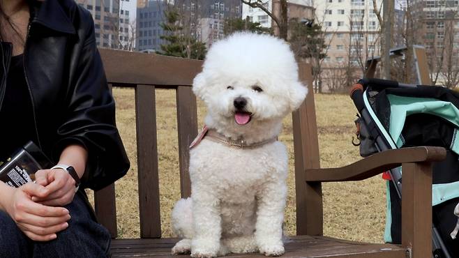 마리는 평소 한쪽 무릎을 땅바닥에 붙이는 독특한 자세로 앉아있다. 최민석 기자