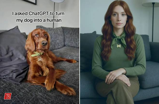 [사진 = 뉴욕포스트]