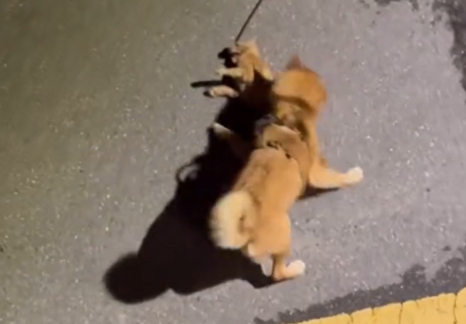 [사진출처 = 위액트 공식 인스타그램]