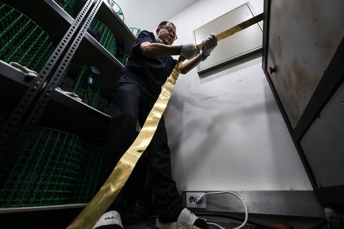 뭉툭한 금덩어리를 얇게 펴는 압연 작업